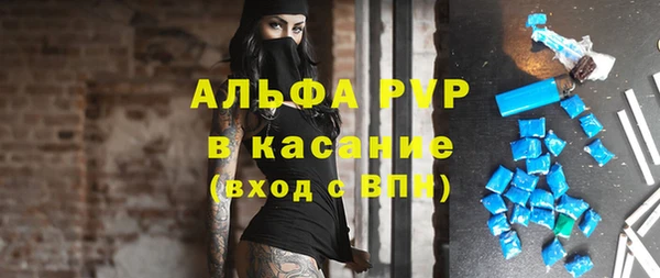 мяу мяу мука Алзамай