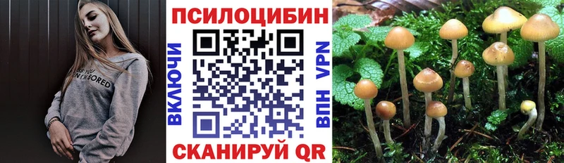 как найти kraken ONION Псилоцибиновые грибы прущие грибы Вихоревка